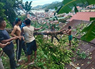Rumah Warga di Tarempa Tertimpa Pohon Tumbang saat Hujan Lebat