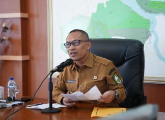 Wabup Bengkalis Dorong Pentingnya Etika Tenaga Kesehatan dalam Webinar Nasional