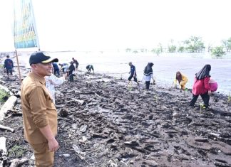 Pemkab Bengkalis dan Lanal Dumai Tanam 3000 Bibit Mangrove