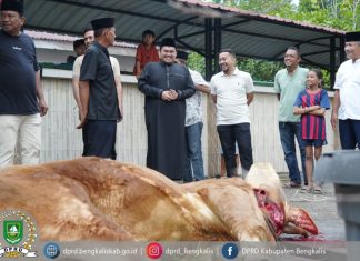 Momen Idul Adha 2025, DPRD Bengkalis Gelar Pemotongan Hewan Qurban