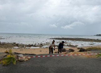 Anambas Siaga Abrasi: Bupati Pastikan Penanganan Cepat di Desa Landak