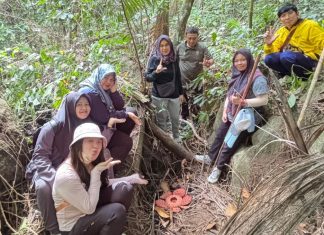 Rafflesia Hasseltii Viral, KPHP Unit VI Anambas Tekankan Pentingnya Pendampingan