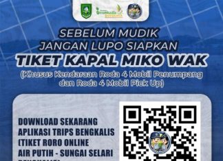 Hindari Antrean Mudik, Tiket RoRo Bengkalis Bisa Dipesan Lewat Aplikasi TRIPS