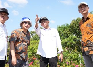 Amsakar Tinjau Proyek Pembangunan Batam