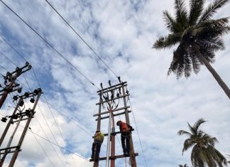 PLN Anambas Lakukan Pemadaman Listrik 7 Jam, Pemasangan Kabel Tanah SKTM Dilanjutkan