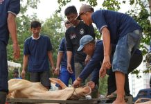 Idul Adha 1447 H: BP Batam Salurkan 15 Sapi dan 18 Kambing Kurban