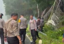 Polsek Siantan Gerak Cepat Evakuasi Pohon Tumbang di Jalan Pasir Peti, Akses Warga Kembali Normal