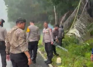 Polsek Siantan Gerak Cepat Evakuasi Pohon Tumbang di Jalan Pasir Peti, Akses Warga Kembali Normal