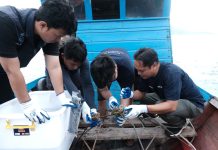 KOMPAK dan PT Soechi Lines Tbk Lanjutkan Rehabilitasi Terumbu Karang di Pulau Pahat, Dorong Pemulihan Ekosistem Laut Anambas