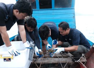 KOMPAK dan PT Soechi Lines Tbk Lanjutkan Rehabilitasi Terumbu Karang di Pulau Pahat, Dorong Pemulihan Ekosistem Laut Anambas