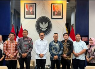 Bupati Anambas Temui Wamendagri Bima Arya, Bahas Kemandirian Fiskal hingga Solusi Belanja Pegawai