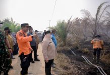 Pemkab Bengkalis Tangani Kebakaran Lahan 20 Hektare di Sungai Meranti