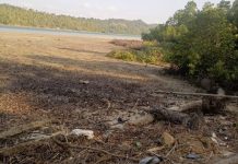 Mangrove Dibabat di Piabung Anambas, Ketua RT: Awalnya Tidak Seluas Ini