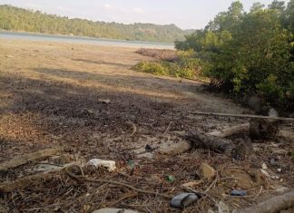 Mangrove Dibabat di Piabung Anambas, Ketua RT: Awalnya Tidak Seluas Ini