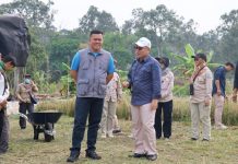 Kemandirian Pangan Diperkuat, Pemkab Bintan Perluas Pertanian Modern