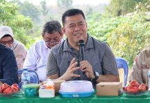 Sekda Ronny Kunjungi Petani Pantau Persiapan Panen 2027